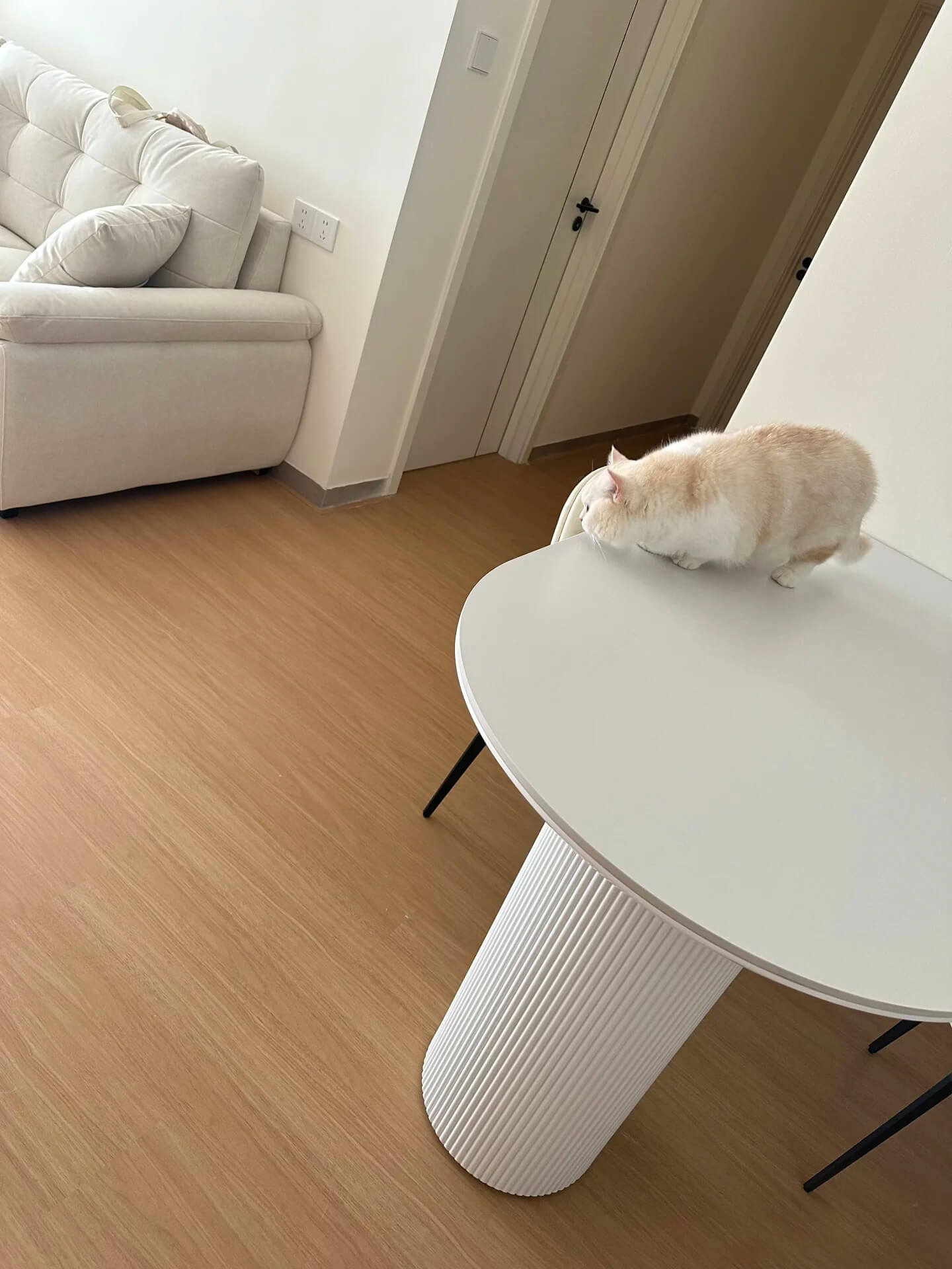 Flooring-project-6